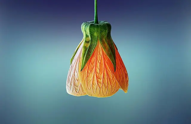 Jakie akcesoria na wiosnę będą must-have?